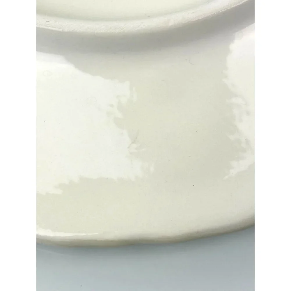 Williams Sonoma Napa Sage Green Italy Leaf & Grape Salad Plates 8.75